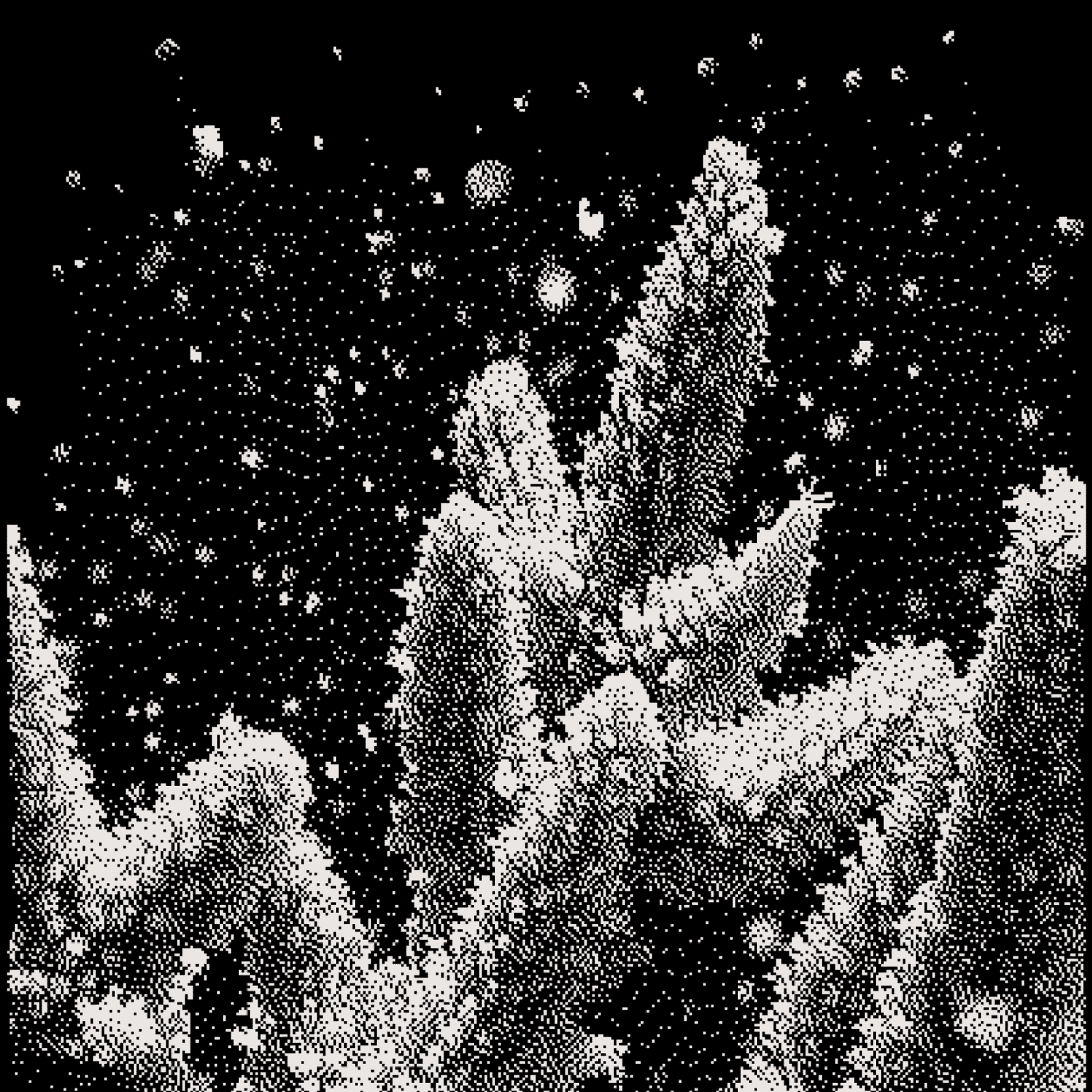 a school of fish cover